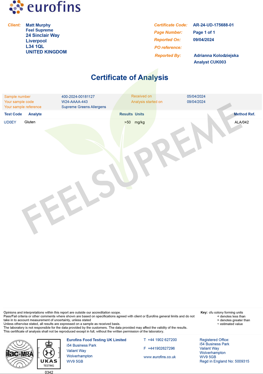 Supreme Greens And Mushroom Superfood Blend