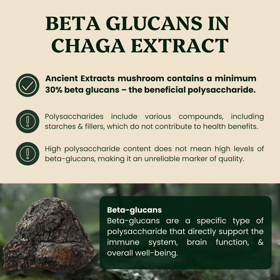 Chaga Mushroom Extract Powder