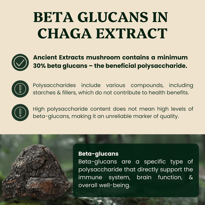 Chaga Mushroom Extract Powder