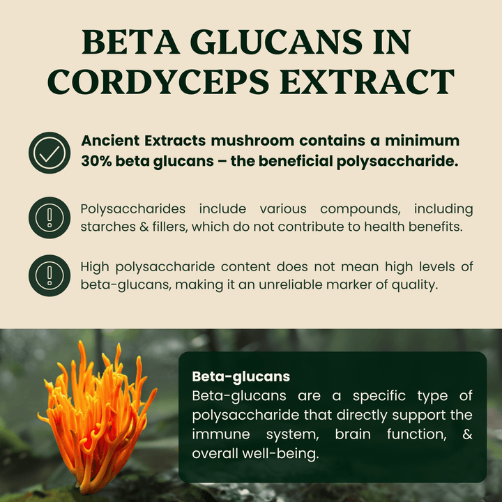 Hormone Pair Reishi & Cordyceps Extracts