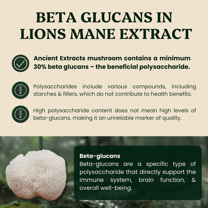 Mindful Pair Lion's Mane & Reishi Extracts