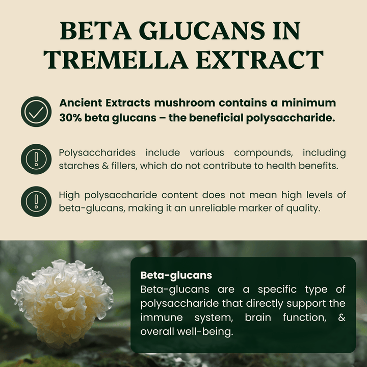 Beauty Pair Tremella & Chaga Mushroom Extracts