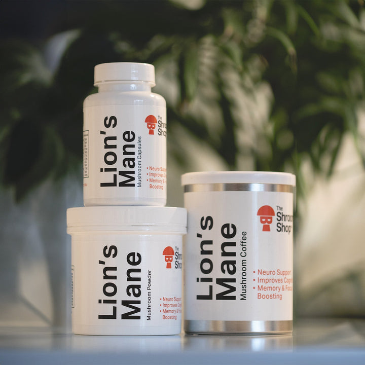 Lion's Mane Mushroom Capsules