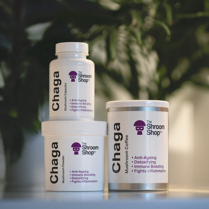Chaga Mushroom Capsules