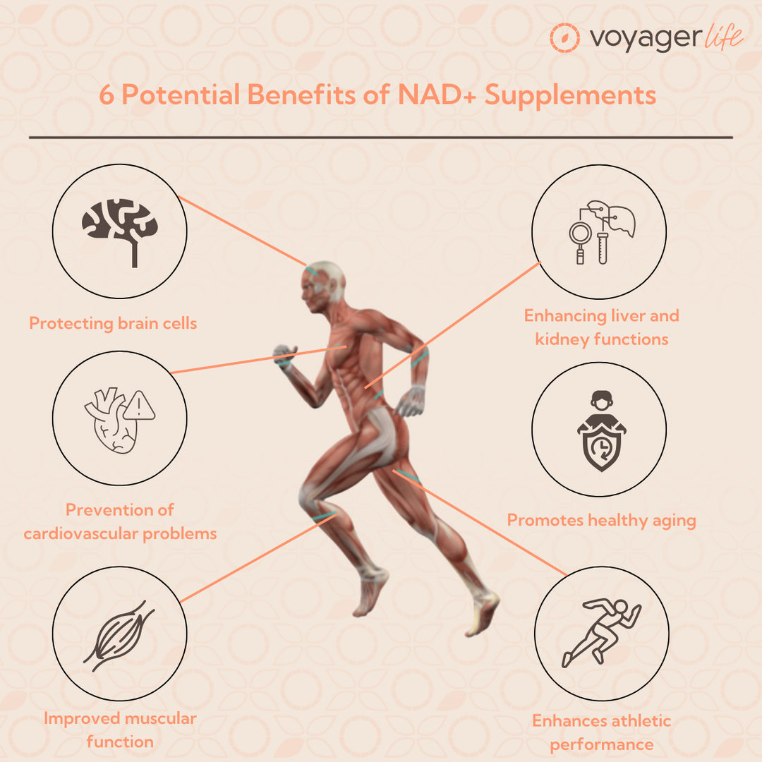 NMN Supplement Powder 100g