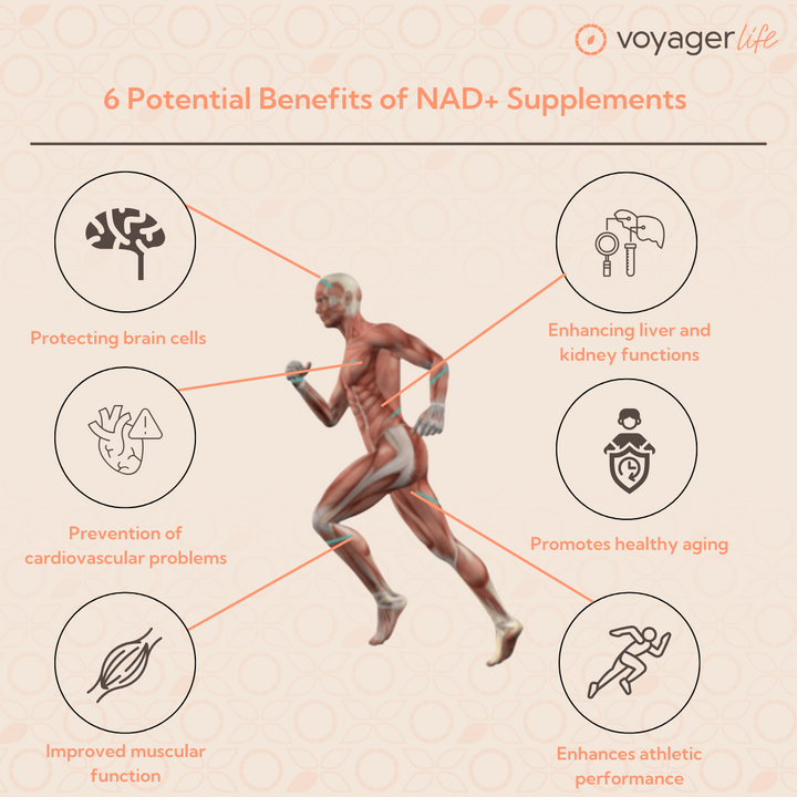 NMN Supplement Powder 100g