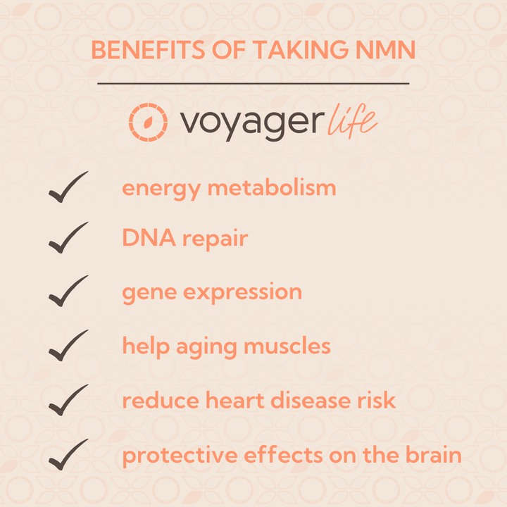 NMN Supplement Powder 100g