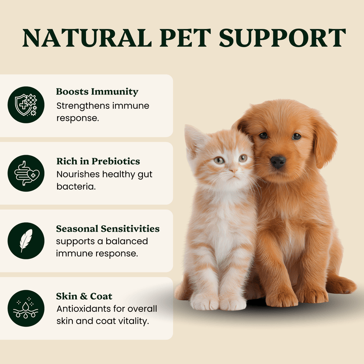 Mushroom Blend - For Pets