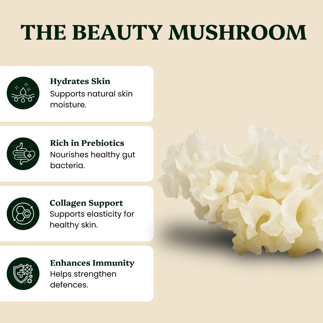 Beauty Pair Tremella & Chaga Mushroom Extracts