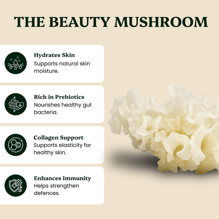 Beauty Pair Tremella & Chaga Mushroom Extracts