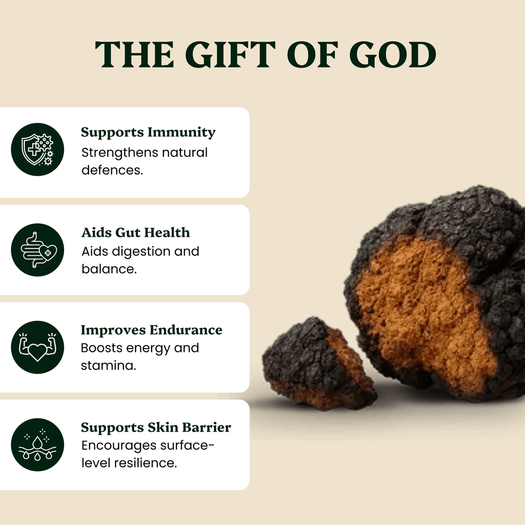 Energy Pair Cordyceps & Chaga Extracts