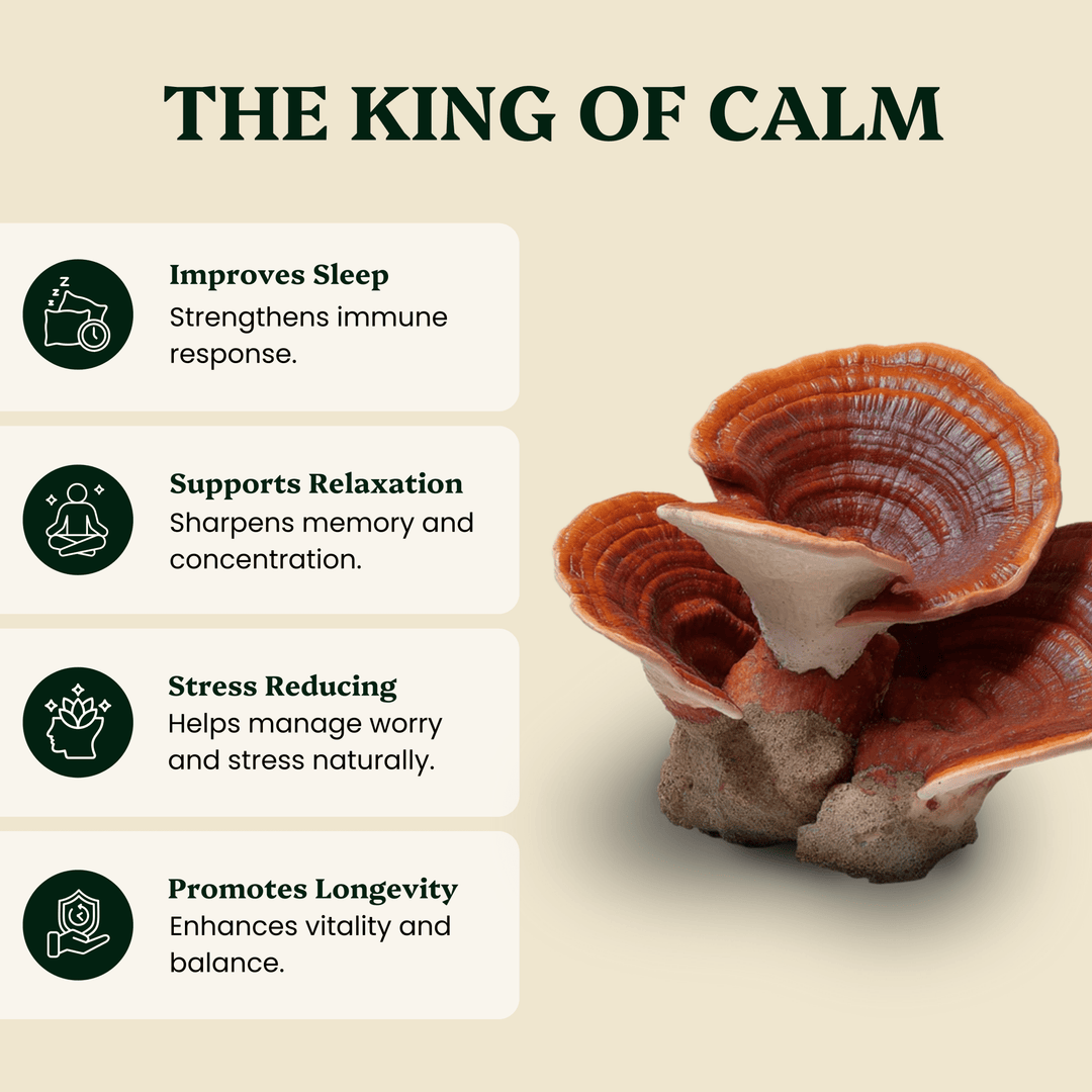 Hormone Pair Reishi & Cordyceps Extracts