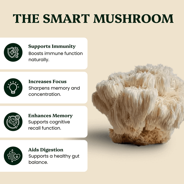 Mindful Pair Lion's Mane & Reishi Extracts