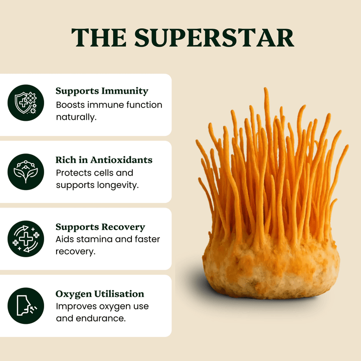 Hormone Pair Reishi & Cordyceps Extracts